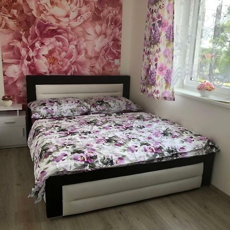 Apartman Na Lukach - Kopretina Třeboň Dış mekan fotoğraf